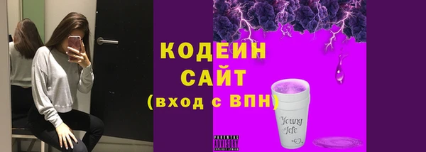 молекула духа Белокуриха