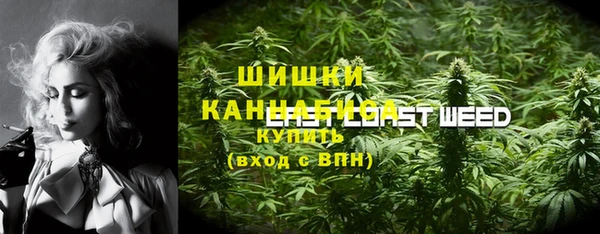 молекула духа Белокуриха