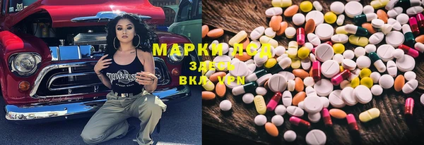 ПСИЛОЦИБИНОВЫЕ ГРИБЫ Белоозёрский