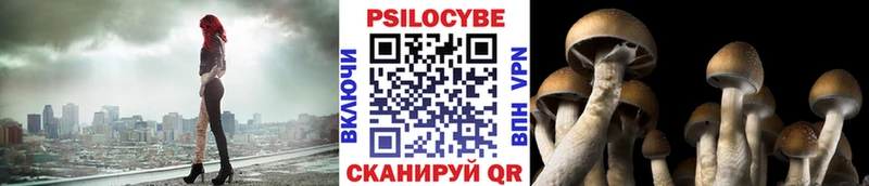 Псилоцибиновые грибы прущие грибы  Шенкурск 